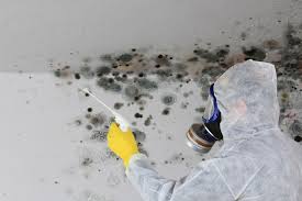 Best Mold Damage Restoration in Caldwell, ID